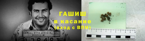 ГАЛЛЮЦИНОГЕННЫЕ ГРИБЫ Сосновый Бор